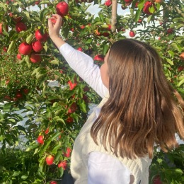 Enjoy a day of apple picking at nearby orchards like Homestead Farm and Great Country Farms. π What's your go-to apple recipe?
#NeighborhoodAdventures #ApplePicking #VyRestonHeights #RestonVirginia #RestonVA #RestonLiving #RestonRentals #RestonApartments #NorthernVirginiaApartments #Reston #NorthernVirginia #LiveTheVyLife Instagram post from @vyrestonheights on July 21, 2024 14:11:08pm